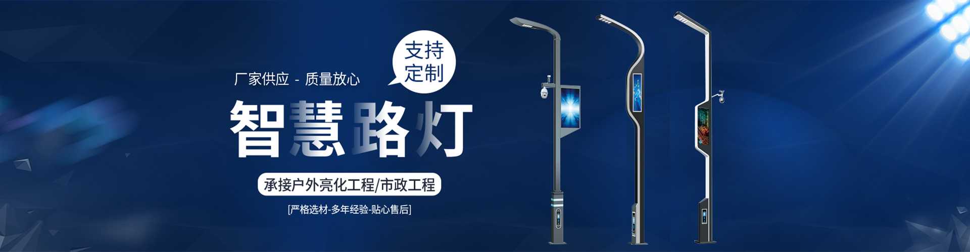 镇海区太阳能路灯定制厂家